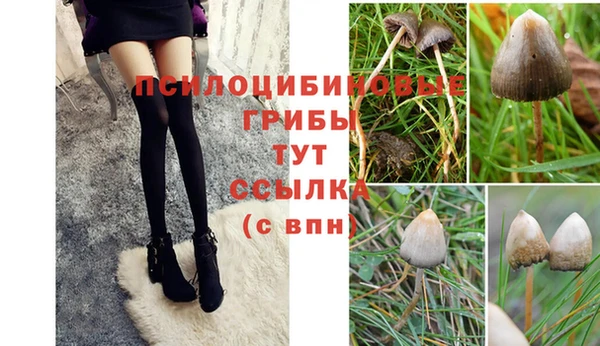 гидра Нея
