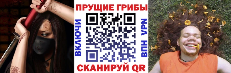 как найти Батайск Галлюциногенные грибы Cubensis
