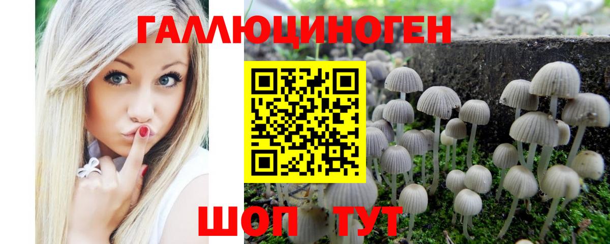 Псилоцибиновые грибы прущие грибы  цена   Вход с VPN  Батайск  Псилоцибиновые грибы Psilocybine cubensis 